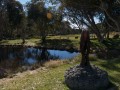 0110-1004 Thredbo (1106030)